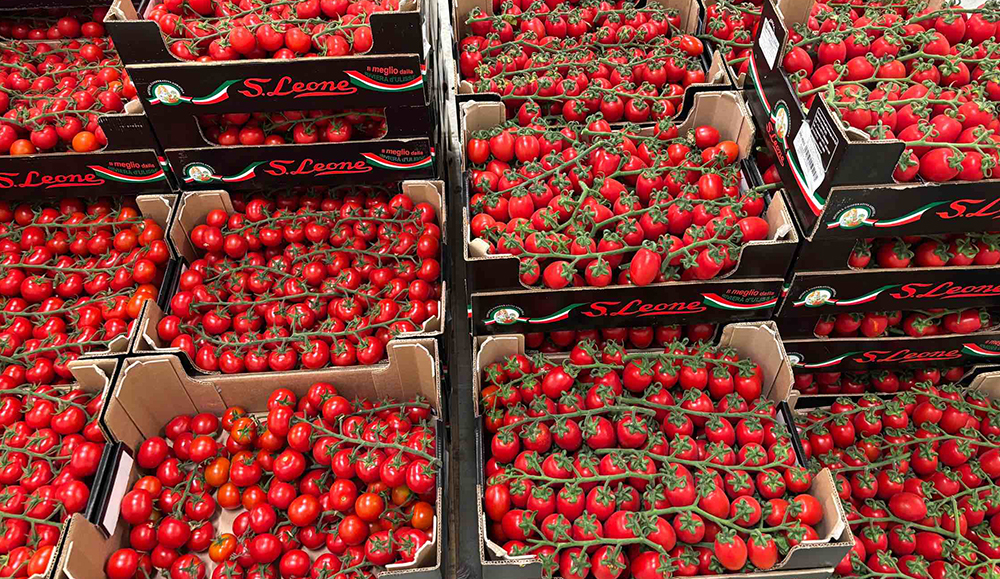 Pomodoro Piccadilly - Sicilia - 1,95/2,00 euro al chilogrammo
